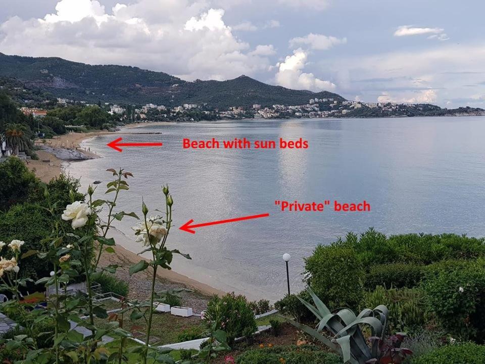 Evaliana Seaside Apartment PalaiónTsiflíkion Εξωτερικό φωτογραφία
