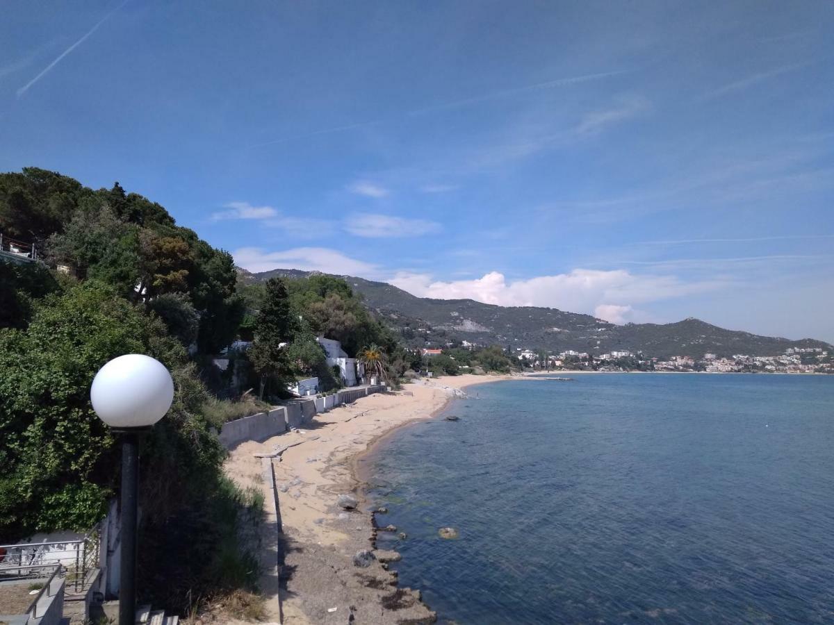 Evaliana Seaside Apartment PalaiónTsiflíkion Εξωτερικό φωτογραφία
